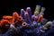 close-up of vibrant tube worms in hydrothermal vent