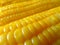 Close Up of Vibrant Yellow Boiled Sweet Corns, Texture Background