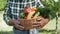 Close up video of basket full of seasonal vegetables.