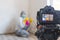 Close up of a video camera filming how woman cleaning mold from wall using spray bottle with mold remediation chemicals, mold