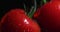 Close up video of rotating tomatoes branch covered waterdrops, vegetables vitamins, healthy eating concept