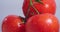 Close up video of tomatoes branch covered water drops rotating, vegetables vitamins, healthy eating concept