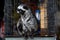 Close up of Vietnamese captive civet cat sitting in a cage