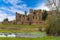 A close-up view across the meadow of the `Great Mere`, Kenilworth, UK towards the ruins of Kenilworth castle