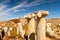 Close-up view of antique columns on DELOS Island, Greece