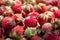 Close up view of appetizing wood strawberries, seasonal berries as source of vitamin C