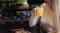 Close up view. Blonde girl sitting in the restaurant with orange drink on the table