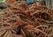 Close up view of brown dried leaves of fraser fir christmas tree. abstract pattern texture