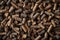 Close-Up View of Brown Pellet Texture Highlighting Sustainable Biomass Energy