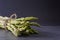 Close-up view of a bundle of spring asparagus tied with twine on a gray slate surface with copy space