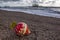 Close up view of buoy sign on the gravel beach. Concept for danger.