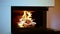 Close up view of burning wood in fireplace. Beautiful backgrounds