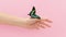 close up view butterfly sitting hand. High quality beautiful photo concept