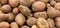 Close up view of a case of a fresh crop of potatoes. Potato background. Concept