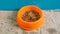 Close up view of cat diet food in a orange bowl