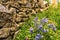 Close up view on colorful flowers and green plants, well-kept pa