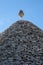 Close up view of the conical dry stone roof of the traditional trullo dry stone house in Alberobello in Puglia Italy.