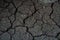 Close up view on cracked, arid brown surface of soil with some garbage in park of European town.