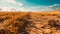 Close-up view of the cracked, dry soil in a field of wheat recently harvested in the countryside. Concept image of wasteland