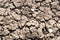 Close up view of cracked textured fertile dry soil in garden