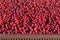 Close up view of cranberry berry in box