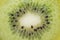 Close up view of cut fresh nutritious green kiwi with black seeds.