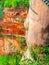 Close-up view of Dafo - Giant Buddha statue in Leshan, Sichuan Province, China