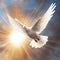 close-up view of a dove, the beauty and symbolism of this graceful bird shine through.