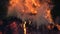 Close up view on Dry grass in the field catching wild fire. Grass in in flames. 4k resolution video. Large fire in the
