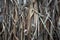 Close up view , dry straw thatch roof of traditional