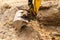 Close up view of an excavator claw scoop digging a trench