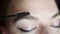 Close up view of eyebrows after procedure permanent make-up in salon