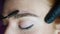 Close up view of eyebrows after procedure permanent make-up in salon