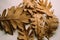 Close up view of fallen autumn leaves on wooden background. Oak leaves composition. Autumnal background.