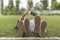 close-up view of feet of mother and son lying on grass and giving high five