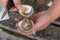 Close up view of female hands shucking fresh oysters