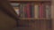 Close up view of female legs in elegant pink shoes climbs up the stairs indoors. Blurred bookshelf with classical books