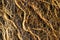 close-up view fibrous root texture background