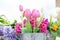 Close up view of a flower arrangement of tulips and other flowers in a vintage tin can, with very bright daylight and a white