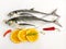 Close up view of Fresh Finletted Mackerel Fish or Torpedo Scad Fish Isolated on White background,Selective focus
