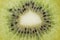 Close up view of fresh nutritious green kiwi with black seeds.