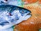 Close-up view of a fresh salmon fish head on ice crystals, next to fillet pieces