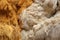 close-up view of freshly shorn wool pile