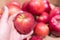 Close up view of fruits shelf in supermarket. hand taking red apples in the store. male hand taking fruit from a shelf. man holds