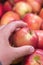 Close up view of fruits shelf in supermarket. hand taking red apples in the store. male hand taking fruit from a shelf. man holds