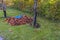 Close-up view of garden rake and collected pile of fallen leaves on autumn sunny day in garden.