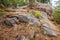 Close up view of geological structures at Killarney Provincial Park