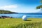 Close-up view of a golf ball on grass lawn ground in luxury vacation resort.