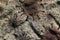 Close up view on granite and rock surfaces with engraved virus fossils