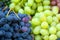 Close up view of grapes A lot of ripe grapes. The texture of the berries as a background. Winery grape variety wine production.